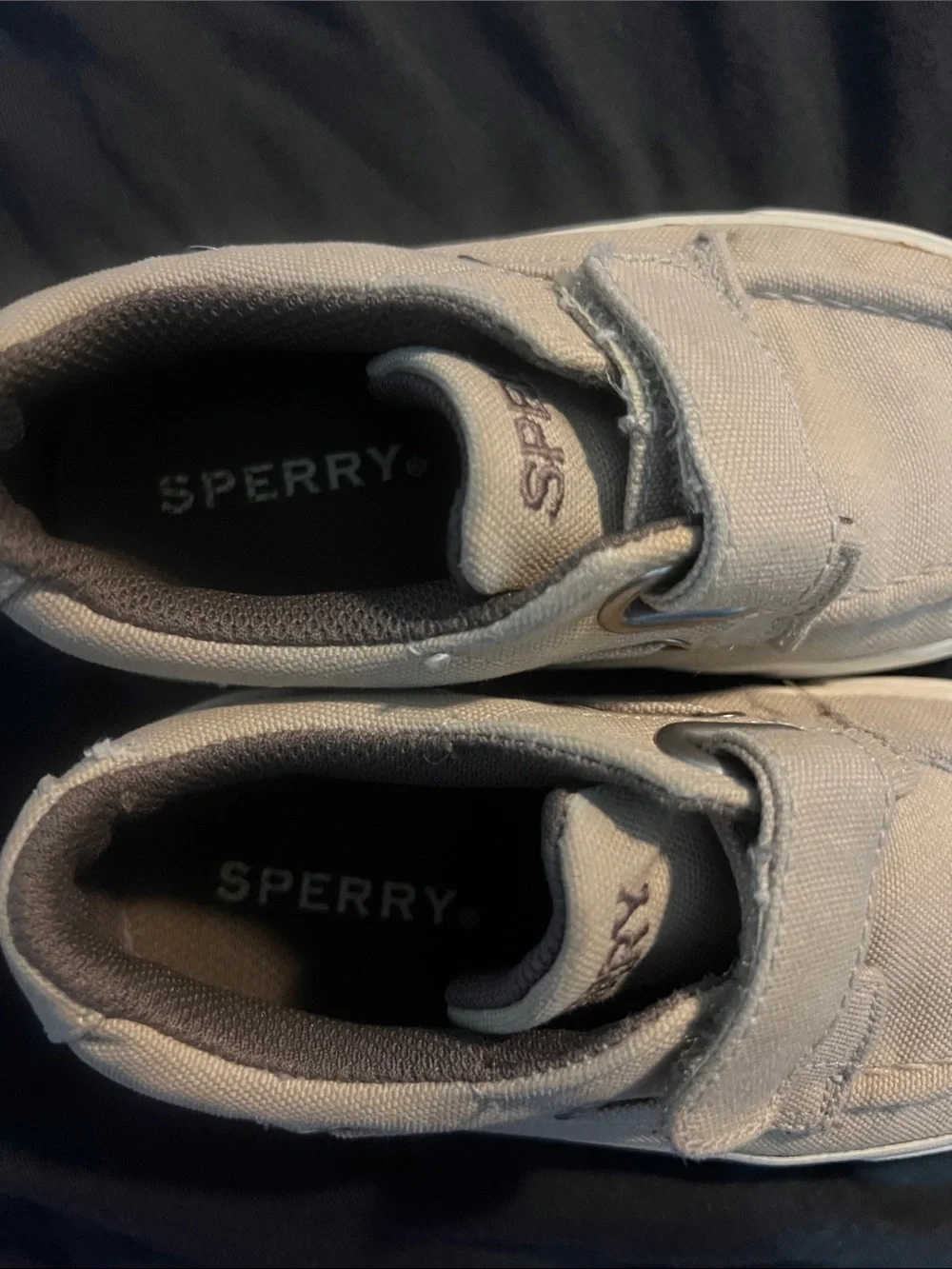 Sperry classic canvas